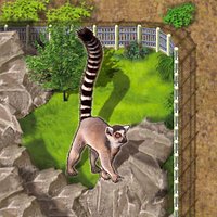 Zooloretto: Lemur