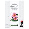 Petrichor: Flowers Expansion