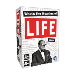 What's the Meaning of LIFE