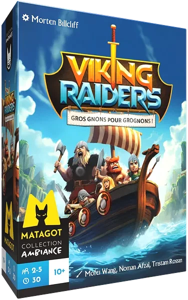 Viking Raiders