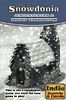 Snowdonia Jungfraubahn Mount Washington Board Game