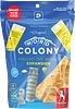Word Colony: Around the World