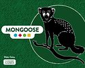 Mongoose