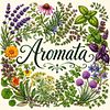 Aromata