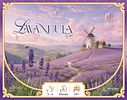 Lavandula