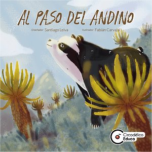 Al Paso del Andino