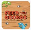Feed the Geckos