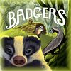 Badgers