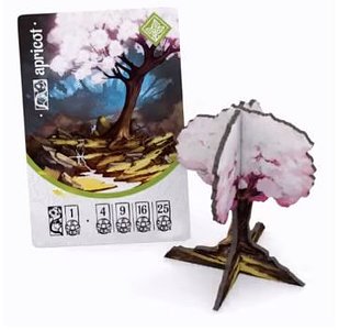 Tang Garden: Apricot Tree