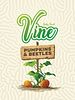 Vine: Pumpkins & Beetles