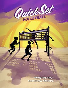 Quick Set Volleyball