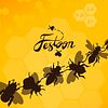 Festoon