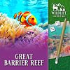 Wildlife Dice: Great Barrier Reef