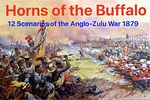 Horns of the Buffalo
