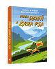 Jeden dzień z życia psa