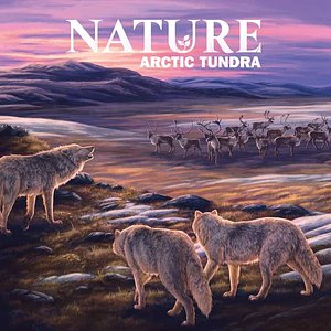 Nature: Arctic Tundra