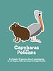 Capybaras vs Pelicans