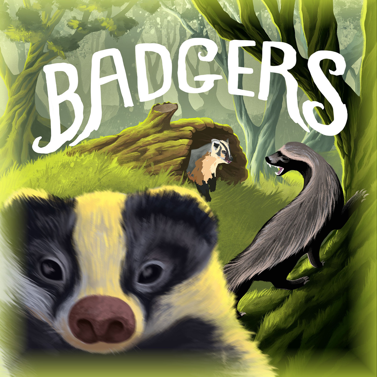 Badgers