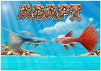 A.D.A.P.T.