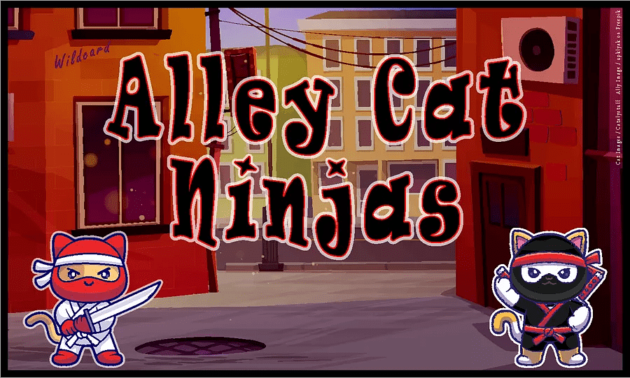 Alley Cat Ninjas