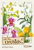 Oh My. Orchids!