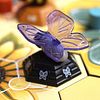 Beez: Fly, Butterfly