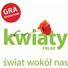 Kwiaty Polne - Świat Wokół Nas