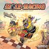 Mole Racing