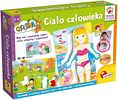 Carotina: Ciało człowieka
