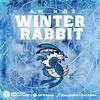 Winter Rabbit