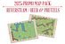 Age of Steam Deluxe Expansion: Beer & Pretzels and Reversteam