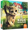 O kocie w kłopocie