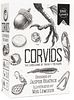 Corvids