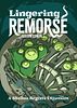 Shallow Regrets: Lingering Remorse