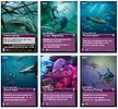 Oceans: The Deep - Promo Pack 2
