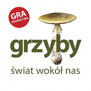 Grzyby - Świat Wokół Nas