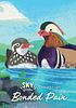 Sky Garden: Bonded Pair