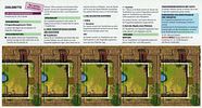 Zooloretto: Familiarisation Area