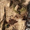 Mythic Battles: Pantheon – Thermopylae Battlefield