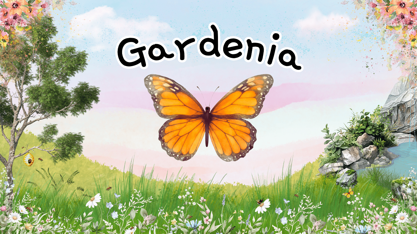 Gardenia