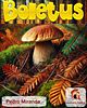 Boletus